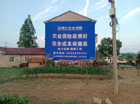 衡山墙体广告为何受追捧？